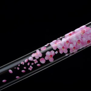 Sakura Katana