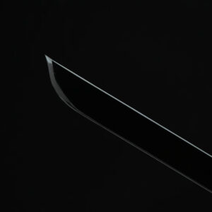 Dark Purple Ninjato