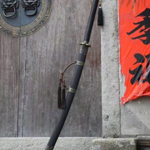 Electric Blade Sword