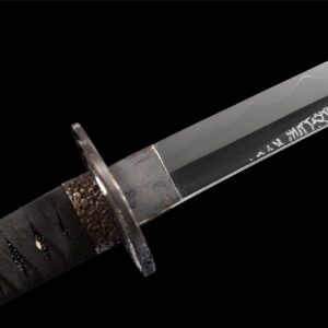 Elden Ring Moonveil Katana