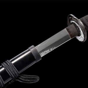 Elden Ring Moonveil Katana