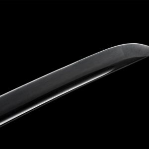 Black Leather Katana